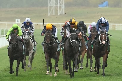 NSW Horse Racing