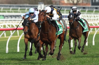 NSW Horse Racing