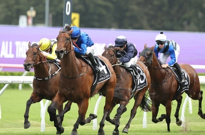 NSW Horse Racing