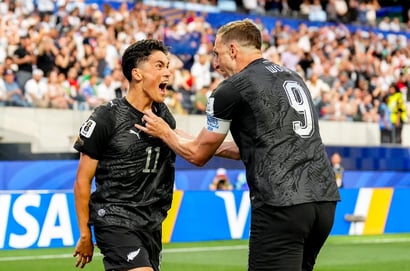 New Zealand vs Belgium