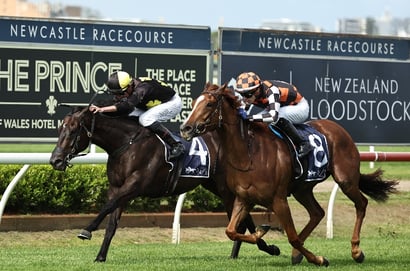 Newcastle Horse Racing