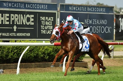 Newcastle Horse Racing