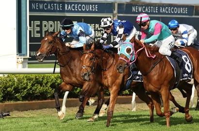Newcastle Horse Racing