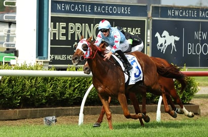 Newcastle Horse Racing