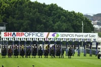 Newcastle Tips for 01.07.2025
