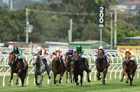 Newcastle Tips for 15.07.2025