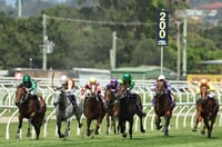 Newcastle Tips for 21.01.2025