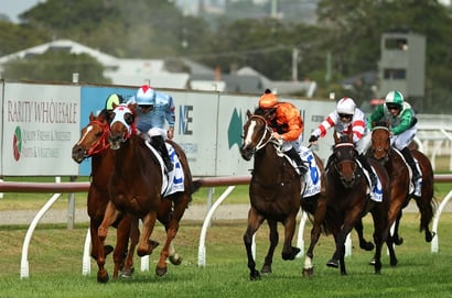 Newcastle tips - 14/07