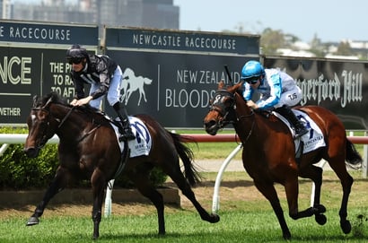 Newcastle tips - 19/05