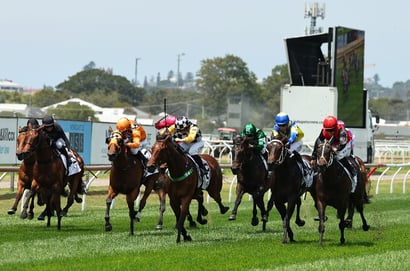 Newcastle tips for 06.03.2026