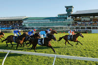 Newcastle tips for 14.08.2025