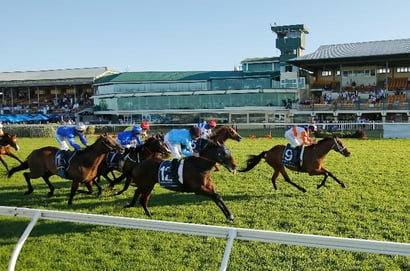 Newcastle tips for 14.08.2025