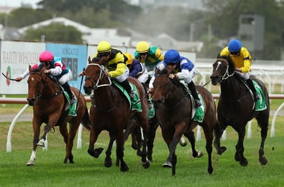Newcastle tips for 15.01.2026