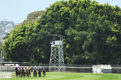 Newcastle tips for 15.11.2025