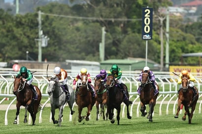 Newcastle tips for 18.09.2026