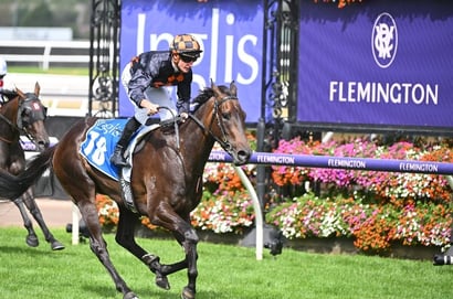 Newmarket Handicap 2025 - Barrier Draw & Final Field