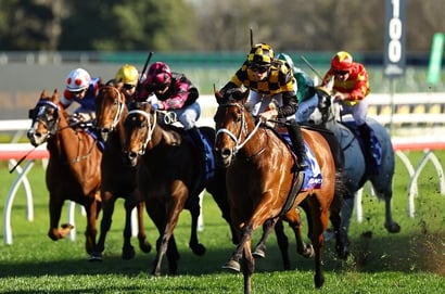 Newmarket Handicap 2025 Betting Odds - Joliestar heads a competitive market