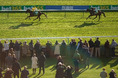 Newmarket october