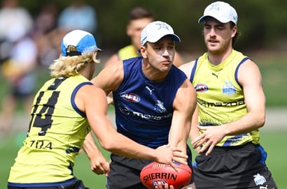 North Melbourne Kangaroos