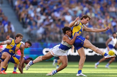 North Melbourne vs West Coast Eagles
