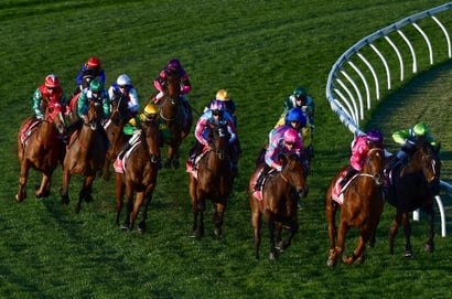 Northam Tips for 07.08.2025