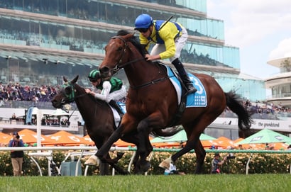 Northerly Stakes 2025 Betting Odds - Rising Star King Of Light Shortens for Group 1 Glory