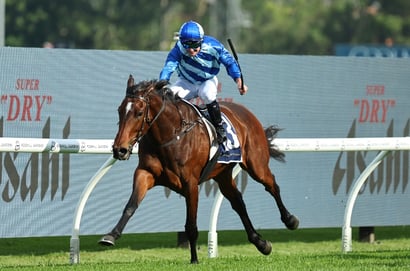 Northerly Stakes 2025 - Barrier Draw & Final Field