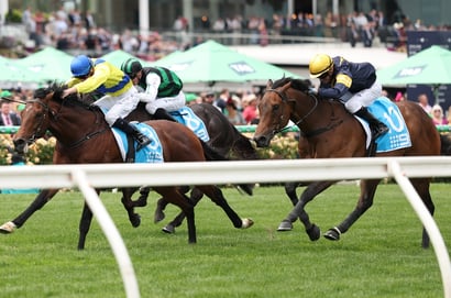 Northerly Stakes 2025 Betting Tips - Can King Of Light Stay Unbeaten?