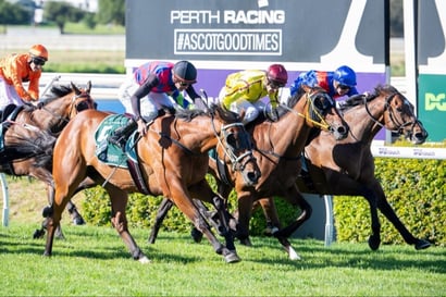 Ascot Racing