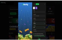 Betify verification
