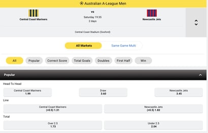 Bookmaker Odds