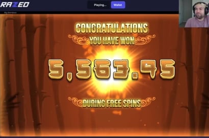 DailyGamba Beats Big Bamboo