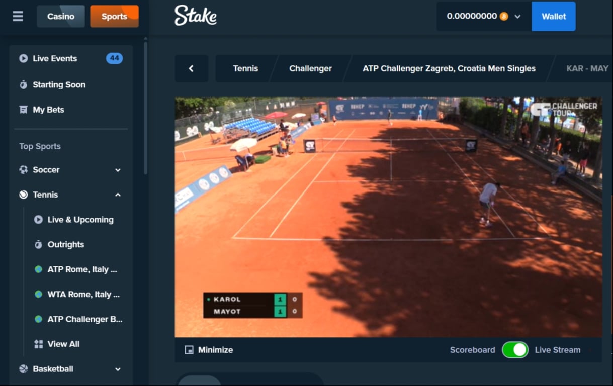 Damir Dzumhur vs Carlos Alcaraz