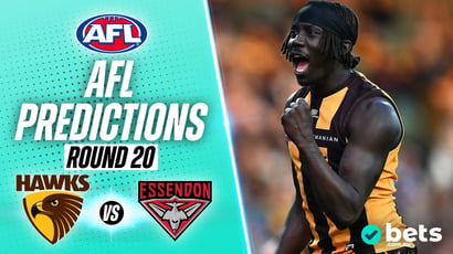 Hawthorn Hawks vs Essendon Bombers AFL Round 20 Tips