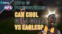Hawthorn Hawks vs West Coast Eagles