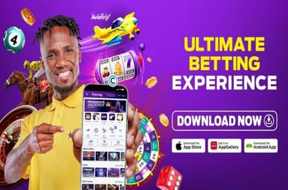 Hollywoodbets App