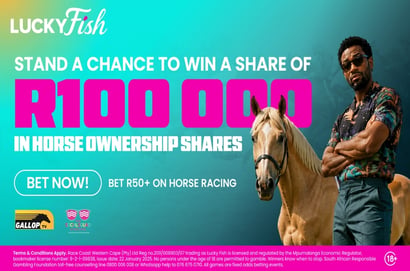 Lucky Fish Horse Ownership Shares