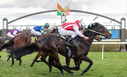 Murray Bridge Racing