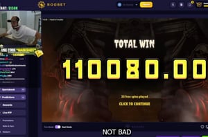 Nadeshot 110K Roobet Win