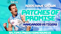 North Melbourne Kangaroos vs Richmond Tigers AFL Round 23 Tips