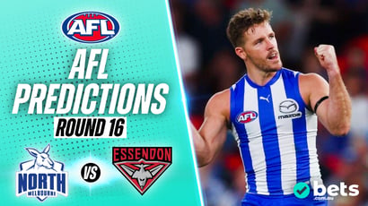 North Melbourne vs Essendon AFL Round 16 Tips