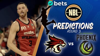 Perth Wildcats vs South East Melbourne Phoenix Predictions