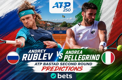 Rublev Pellegrino