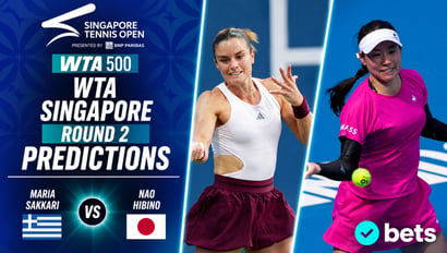 Sakkari Hibino