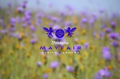 See Out Feb Mayfair Offers