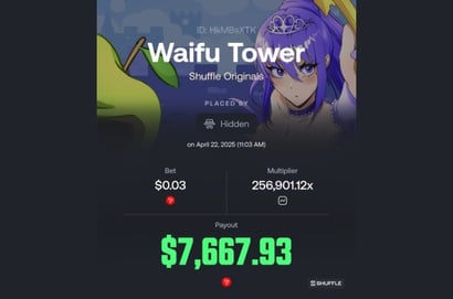 Shuffle Waifu Tower Payday