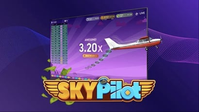 Sky Pilot