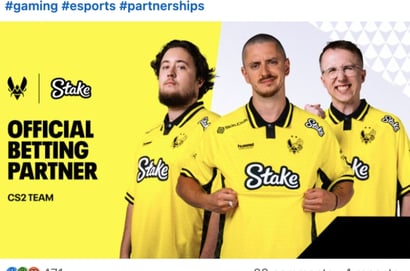 Team Vitality Partnership