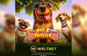 The Big Dog House Slot