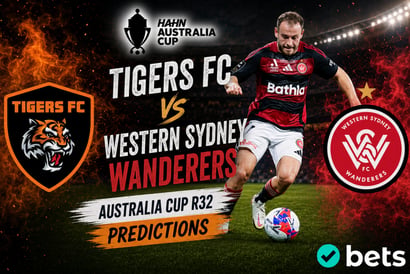 Tigers Wanderers